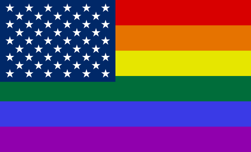 New Gay Flag 48